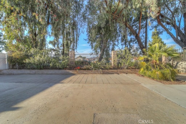 view of yard featuring a patio area