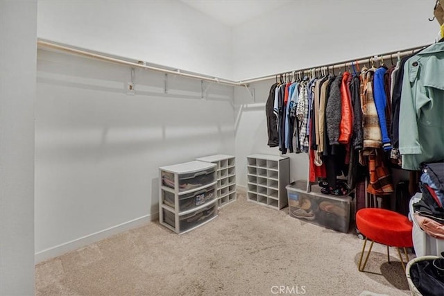 spacious closet with carpet floors