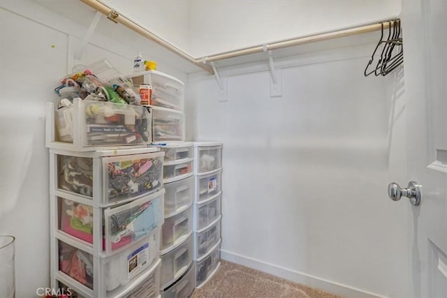 walk in closet with carpet flooring