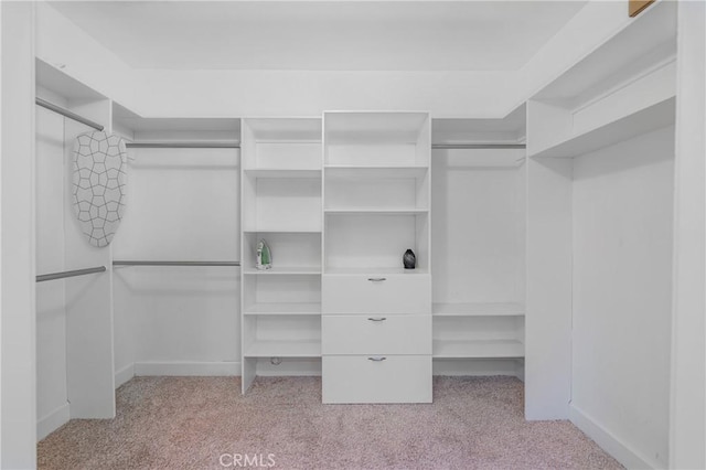 spacious closet featuring light colored carpet