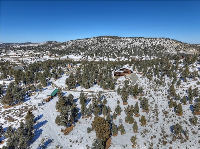 snowy aerial view with a mountain view