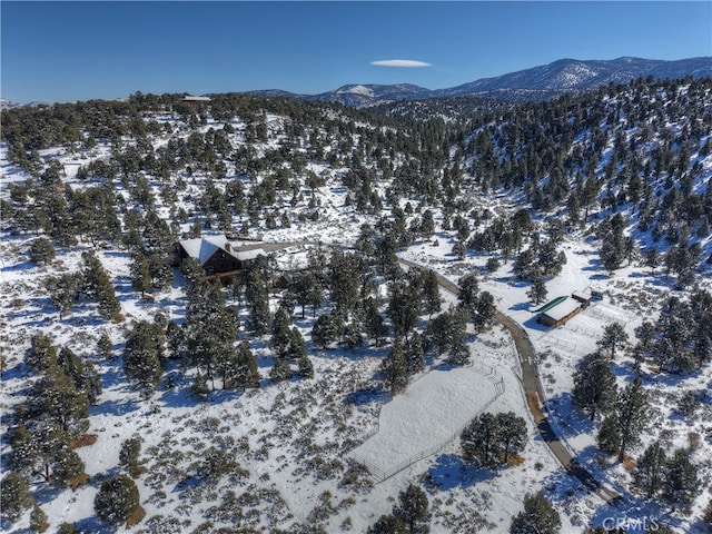 snowy aerial view featuring a mountain view