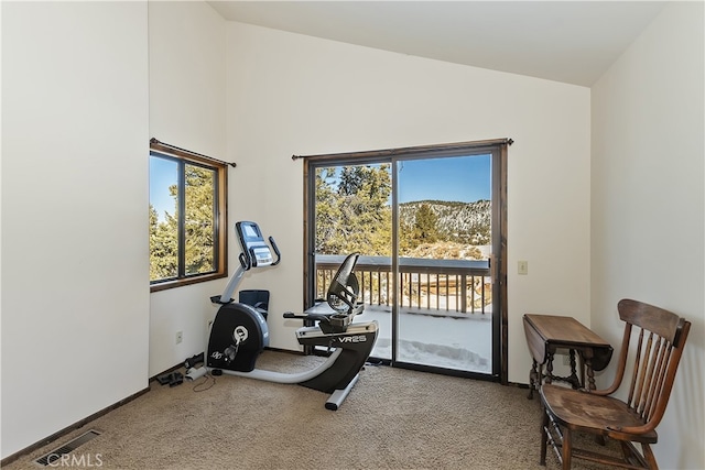 exercise area featuring lofted ceiling and carpet flooring