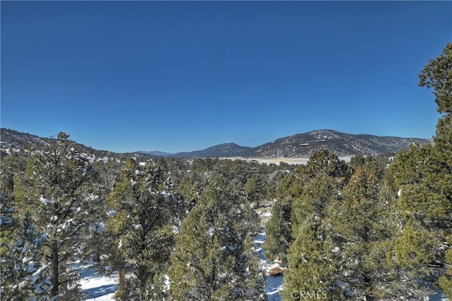 46727 Minnow, Big Bear City, CA 92314 - mountain view