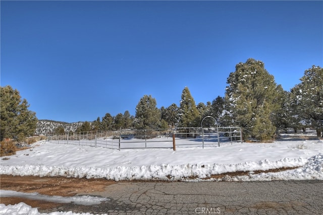 view of snowy yard