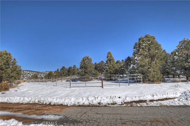 46727 Minnow, Big Bear City, CA 92314 - view of snowy yard
