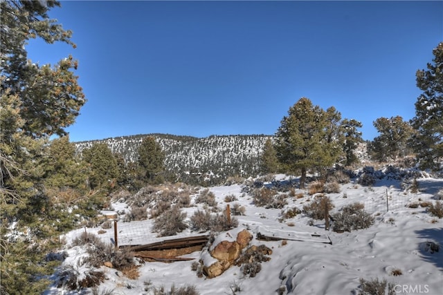 view of snow covered land