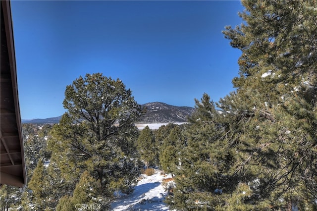 property view of mountains