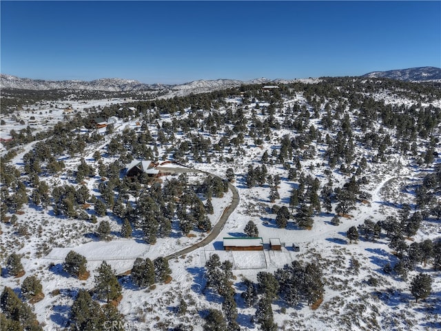 snowy aerial view featuring a mountain view