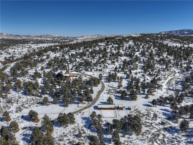46727 Minnow, Big Bear City, CA 92314 - snowy aerial view featuring a mountain view