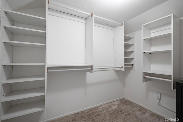 walk in closet featuring light colored carpet