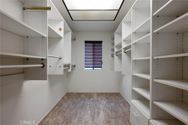 walk in closet featuring light colored carpet