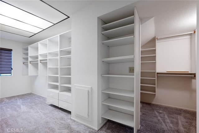 spacious closet with carpet flooring