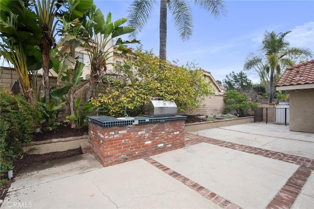 view of patio featuring area for grilling and grilling area