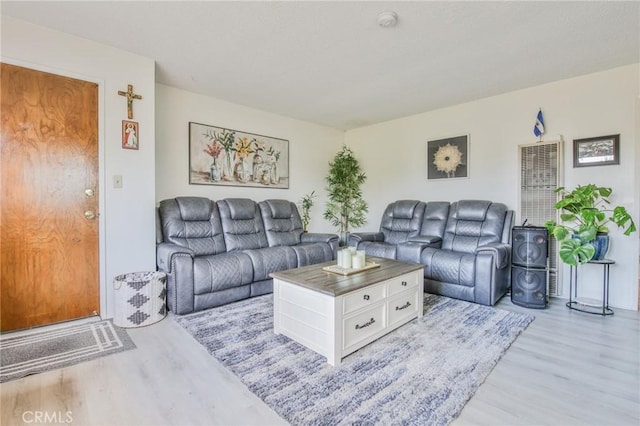 living room with light wood-type flooring