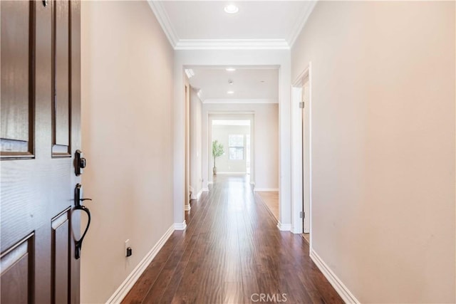 hall with crown molding and dark hardwood / wood-style floors