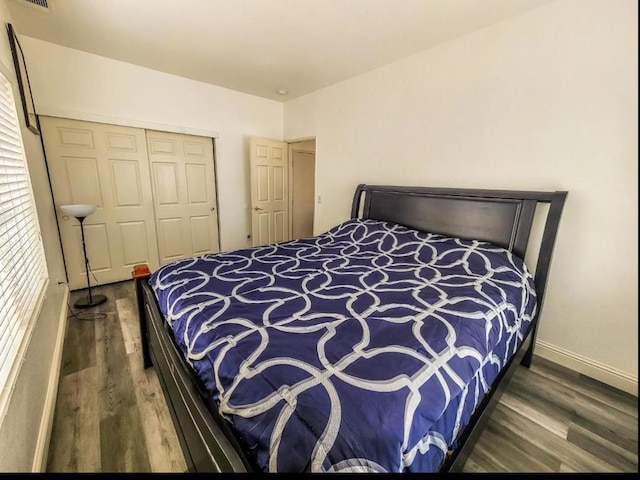 bedroom featuring dark wood-type flooring and a closet