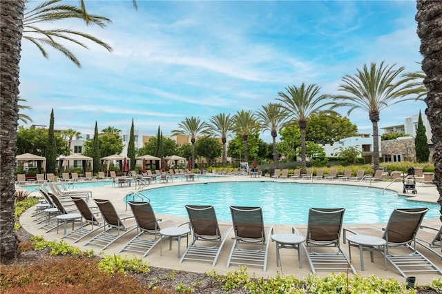 view of swimming pool featuring a patio area