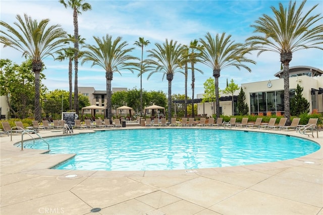 view of pool featuring a patio