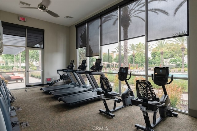 exercise room featuring carpet floors, ceiling fan, and a wall of windows