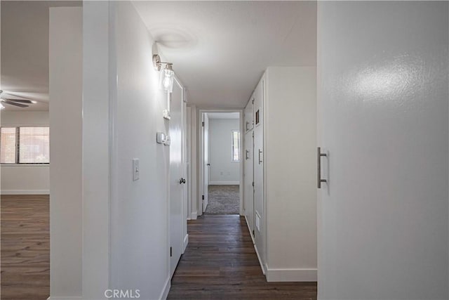 hall with dark hardwood / wood-style floors and a wealth of natural light