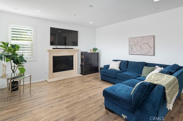 living room featuring wood-type flooring