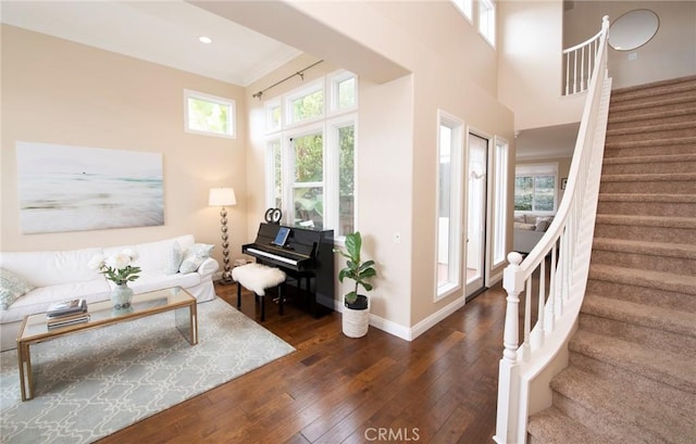 living room with crown molding, dark hardwood / wood-style flooring, and a high ceiling