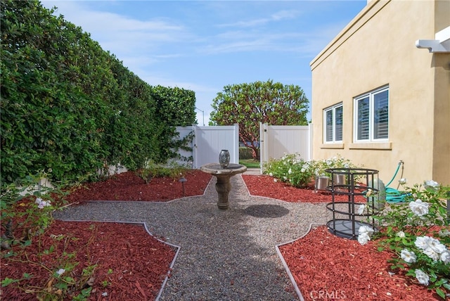 view of yard featuring a patio