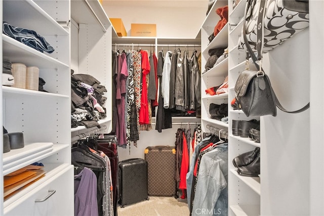 view of spacious closet