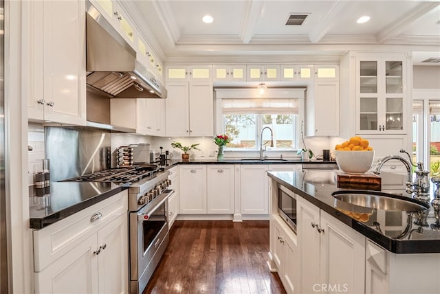 kitchen featuring white cabinetry, appliances with stainless steel finishes, range hood, and sink