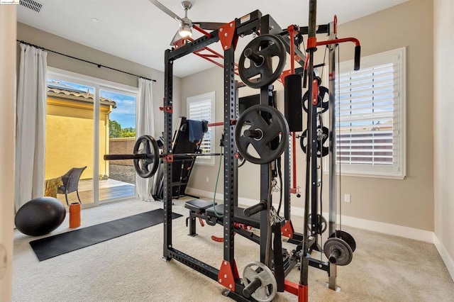 exercise area with carpet floors