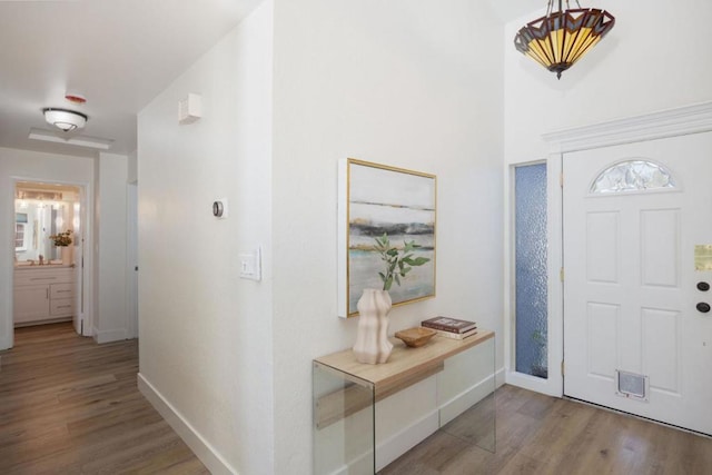 foyer entrance with hardwood / wood-style floors