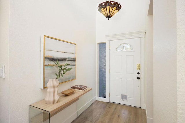 entrance foyer with light hardwood / wood-style flooring