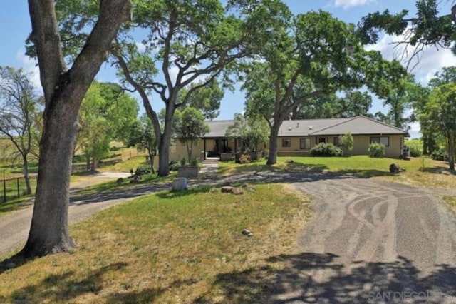 ranch-style house with a front yard