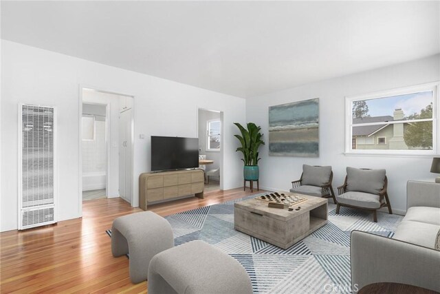 living room featuring wood-type flooring