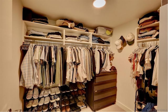 view of spacious closet