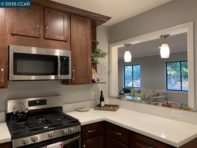 kitchen with dark brown cabinetry, decorative light fixtures, and stainless steel appliances