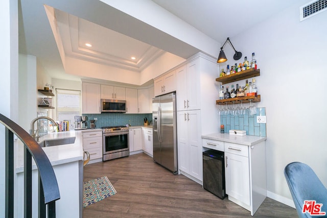 kitchen featuring white cabinetry, stainless steel appliances, a tray ceiling, and sink