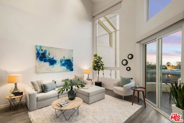 living room featuring wood-type flooring and a high ceiling