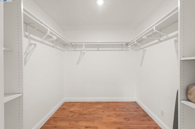 spacious closet featuring wood-type flooring