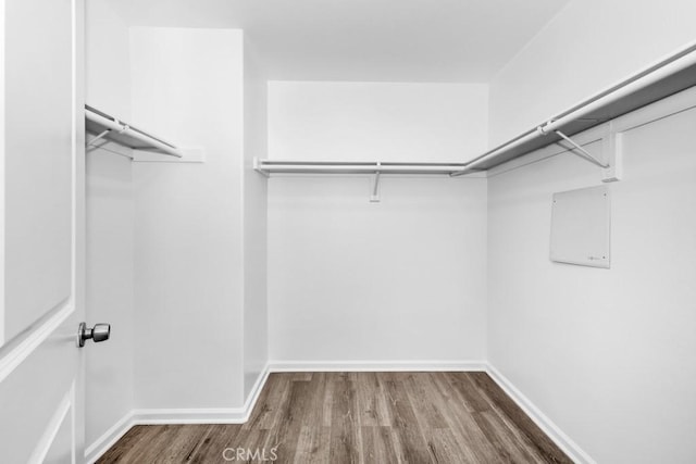 walk in closet featuring wood-type flooring