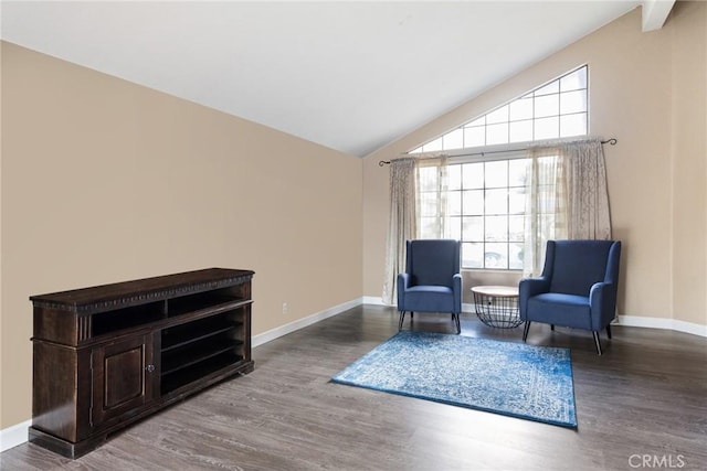 living area with hardwood / wood-style floors and high vaulted ceiling