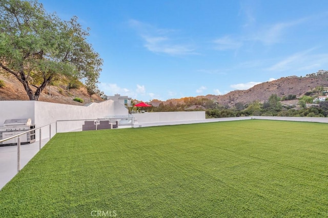 view of yard featuring a mountain view