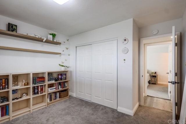 interior space featuring a closet and carpet flooring