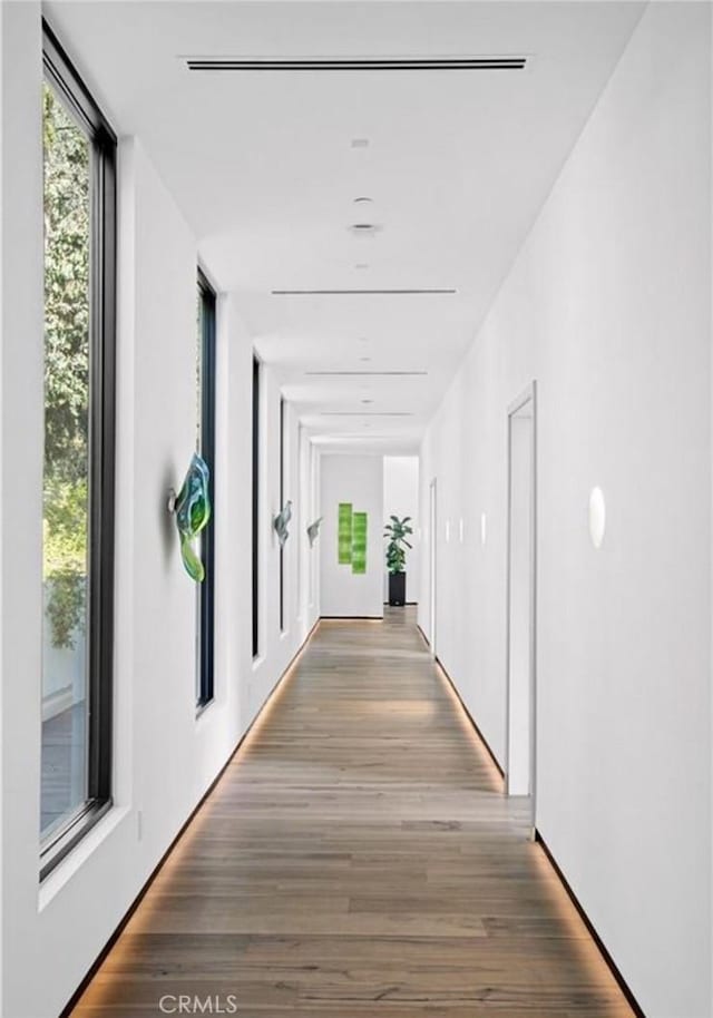 hall featuring dark hardwood / wood-style flooring and expansive windows