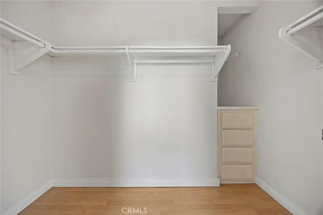 walk in closet with wood-type flooring