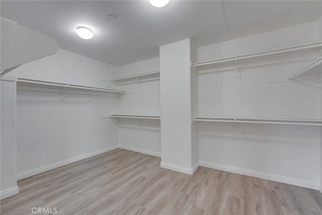 spacious closet featuring light hardwood / wood-style flooring