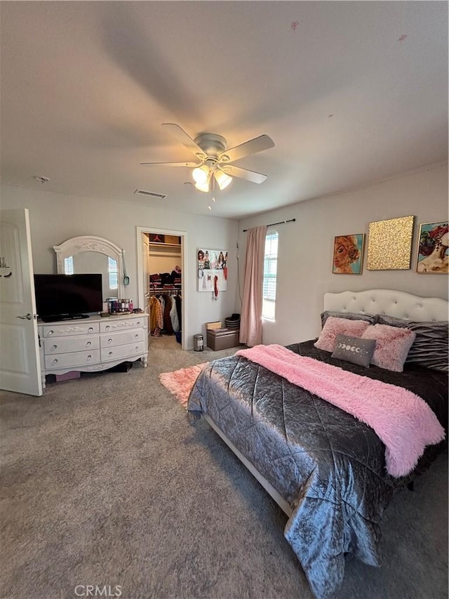 bedroom featuring a walk in closet, carpet, ceiling fan, and a closet