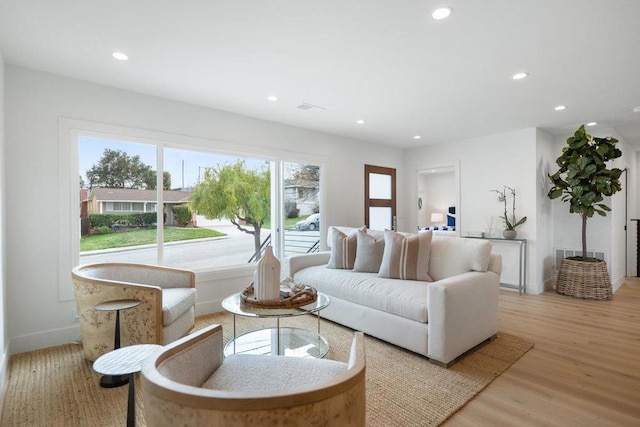 living room featuring light hardwood / wood-style floors