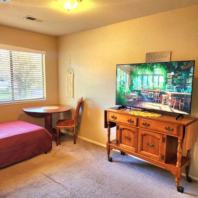 interior space with light colored carpet and a textured ceiling